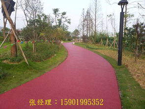 透水混凝土▼海綿自行車 綠道