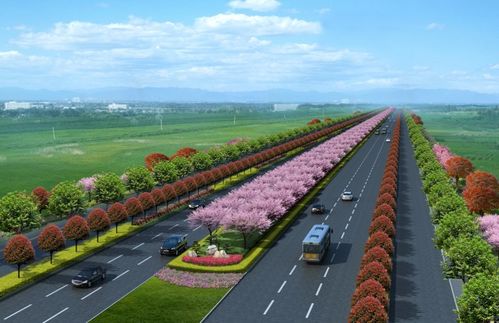 新機場大道景觀綠化工程正式開工，打造城市生態走廊